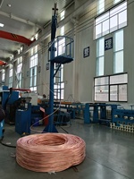 Langlebiger flexibler Niederspannungs-Kupfer-PVC-Elektrokabel 1*2,5mm für Industrie-und Bau zwecke Haushalts geräte