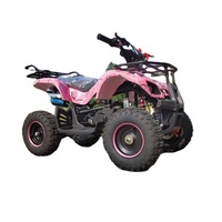 Buggy tout-terrain pour enfants de 49 cm³ à essence, pour la neige, la plage, avec 1-2 sièges, 30 km/h