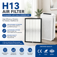 Penjualan Panas OEM/ODM H13 True HEPA Filter Pengganti Pembersih Udara Karbon Aktif Suku Cadang Pembersih Udara Penghilang Berbagai Bau Kustom