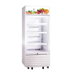 중국 공급 업체 강직한 냉장고 쇼케이스 강직한 냉장고 10 서랍
