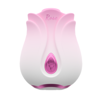 Gradient Pink Rose Vibrator für Brustwarzen- und Klitorisstimulation IPX7 Saugvibrator Sexspielzeug für Frauen