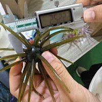 Прямые поставки с завода: Новые приманки TP-E с высокой прозрачностью (95%), повторные заказы, размеры 32мм/25мм/23мм, имитация морского ежа, для крупного окуня.