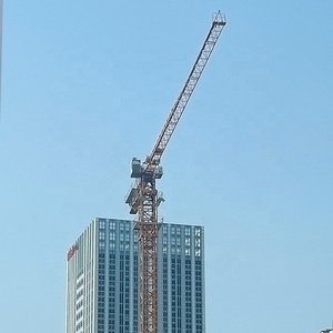 رافعة برجية مستعملة برأس مسطح 60 متر بسعر جيد (QTZ125) رافعات مستعملة عالية الجودة بارتفاع مستقل - Product Image 2