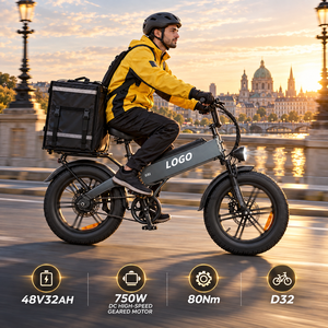 Bicicleta Eléctrica de Carga D32 de Fábrica, 750W 80N·m 48V32Ah, Carga de 200kg, Entrega OEM, Personalizada, Neumático Ancho, Venta al por Mayor - Product Image 1