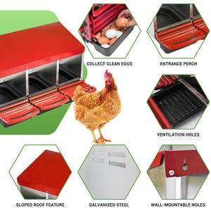 Driegaats <span class=keywords><strong>Plastic</strong></span> En Metalen Kippenhok Eierdoos Met Nestkast Voor Legkippen - Product Image 6