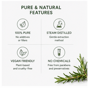 <span class=keywords><strong>Huile</strong></span> <span class=keywords><strong>essentielle</strong></span> de <span class=keywords><strong>romarin</strong></span> naturelle : Améliore la mémoire et soulage la fatigue ; Convient pour la diffusion en aromathérapie. - Product Image 4