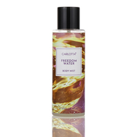 Déodorant unisexe frais en spray Eau de Toilette 250 ml, vente directe usine, parfum chimique pour jour et nuit