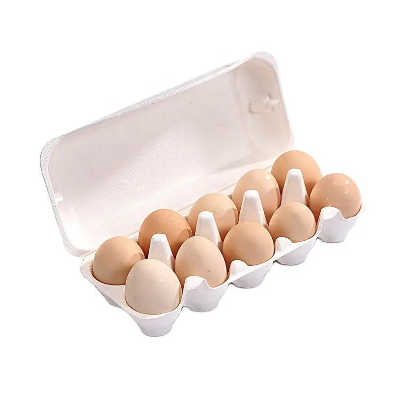 Biodegradable Bagasse Egg Container Packaging Box Paper Pulp Egg Tray