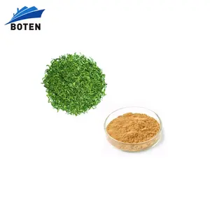 Pas cher 100% pur polyphénols extrait de thé vert décaféiné l-théanine, camellia sinensis extrait