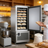 Congélateur rapide commercial NobleSnow SD-75 à 15 bacs, dégivrage automatique, réfrigérant R404A, matériau SS304, assure un congélation rapide