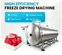 Automatische Vriesdroger Lyofilisator voor Appels, Frambozen, Moerbeien, Aardbeien, PLC-gestuurde Fruitdroger