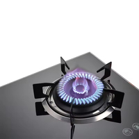 Appareils de cuisine, cuisinière double, plaque de cuisson intelligente, cuisinière à gaz encastrée, plaque de cuisson à gaz en verre trempé, cuisinière à gaz en fonte de 100 mm, 2 brûleurs