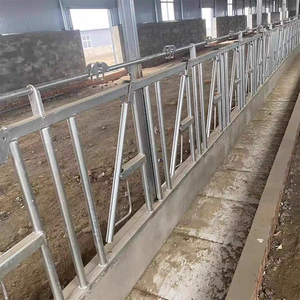 Nouvel équipement d'élevage de bovins laitiers en acier vache tête de verrouillage panneau d'élevage pince de cou de taureau accessoires de cou de boeuf <span class=keywords><strong>pour</strong></span> l'élevage - Product Image 6