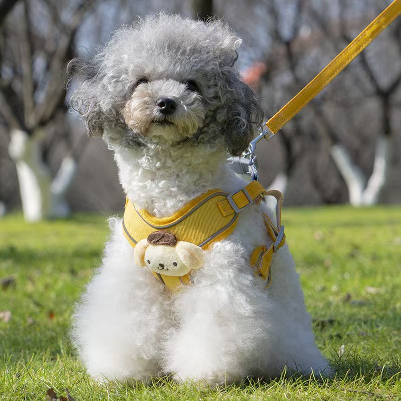 Pompom Dog [avec laisse de 1,5 mètre] Jaune