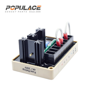 Régulateur de tension automatique Populace SE350 4A 250V monophasé pour générateur AC - Product Image 1