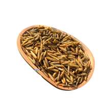 Ligne de production d'œufs de mouche des blésoirs (BSFL) séchés à haute teneur en protéines, vente en gros directe d'usine pour l'alimentation des volailles, des poissons et des poissons d'aquarium