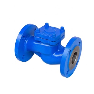 Válvula de Retención de Hierro Fundido Tipo Elevador, Estándar DIN - Product Image 2