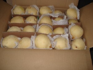Pera Ya Fresca/Pera Corona, Frutas Dulces y Jugosas, Precio al por Mayor, Exportación Directa de China - Product Image 6