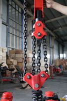 Treuil électrique de palan électrique de marque célèbre de la Chine 500 kg avec le prix bas
