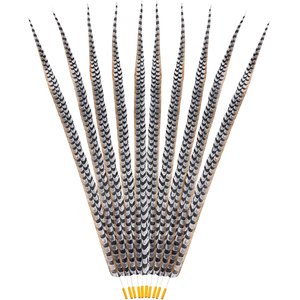 Plumes de faisan artificielles en gros, queues de faisan pour <span class=keywords><strong>la</strong></span> décoration de Noël et de carnaval - Product Image 1