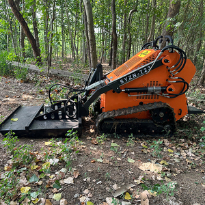 Grasmaaier Met Voorste Eindlader Mini-Schranklader - Product Image 5