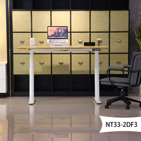 Bureau de travail électrique intelligent 2DF3, ergonomique, réglable en hauteur, bureau debout pour ordinateur, bureau de travail électrique pour la maison, meubles