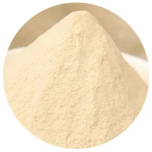 China Factory Supply ISO Chicken Seasoning Powder And Chicken Flavour Powder For Biscuit