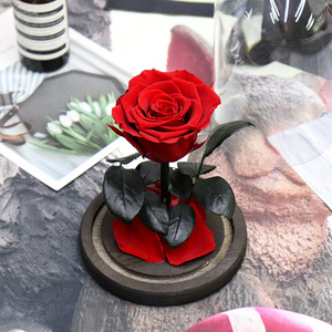 Nuovo prodotto lancio all'ingrosso di <span class=keywords><strong>rose</strong></span> conservate per regali di natale scatola regalo di fiori caldi con cupola in vetro acrilico - Product Image 5