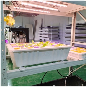 Plateaux de culture à 40 trous Système hydroponique de clonage <span class=keywords><strong>Plateau</strong></span> d'ensemencement de plantes clonées en plastique ABS - Product Image 3