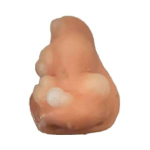 ของเล่นบีบแก้เครียดรูปจมูก TPR ขนาด 8 ซม. ของขวัญสร้างสรรค์ - บีบฟองสบู่ - สำหรับเด็กและผู้ใหญ่ เพิ่มความสนุกและผ่อนคลาย - Product Image 1