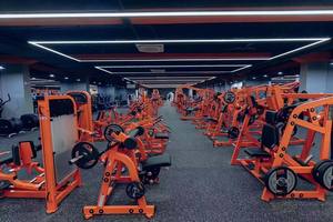 Équipement de <span class=keywords><strong>musculation</strong></span> en acier Shizhuo, <span class=keywords><strong>machine</strong></span> à curls pour les <span class=keywords><strong>biceps</strong></span>, <span class=keywords><strong>machine</strong></span> d'entraînement musculaire avec fonctions de sécurité - Product Image 3