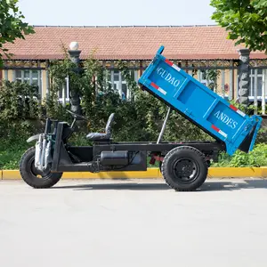 Motocicleta eléctrica de tres ruedas, mini volquete de carga pesada de 2 toneladas, para jardín, 4x4