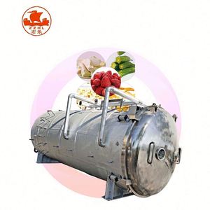 Lyophilisateur Machine 100 Kg Lyophilisateur Machine Lyophilisateur Grande Machine - Product Image 2