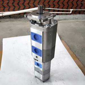 <strong>XZZX</strong>- Gear Pump <strong>XZZX</strong>-B001 10100731 80300411 Used for QY25K5 Crane Spare Part CB-KPZH63/50/32/08B1F1J1 10100731 - Product Image 2