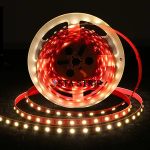 STA STRIP Warm White Green Red Blue Yellow Cold White 24V 12V 10mm 60leds/w 120leds/w Strip Lights 5050 SMD LED Strip