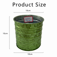 Métal Plantes Succulentes Seau Fer Bougie Conteneur Coloré Galvanisé Décoration Boîte Maison Jardin Plantes Pot