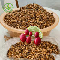 Poudre d'extrait de fruit Miracle Berry, qualité alimentaire sauvage, Synsepalum Dulcificum