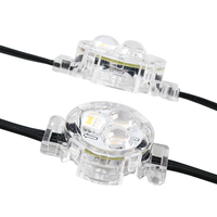 Lampu Titik Pixel LED RGBW Tembaga 12V IP68 untuk Penggunaan Hunian dengan Garansi 2 Tahun