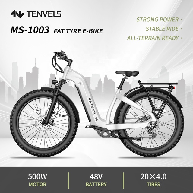 USA Warehouse 48v Emtb Moped Retro Electric Bicycle Hybrid Bike E-Bike Road Dirt E Bike Ebike Mountain Fat Tire Electric Bike