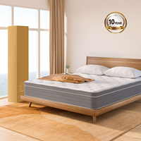COSTFULL Twin 10 Zoll Hybrid Taschenfederkern Gel-Memory-Foam-Matratze Modernes Design 10 Jahre Garantie 20-35cm Dicke Mittelfest