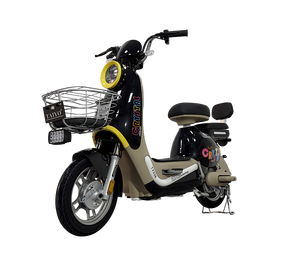 Moteur pour hommes et femmes, mini tricycle 16 pouces 60V 800W, 2 roues avant, pneus larges, moteur central 750W 36V 18V, vélo électrique - Product Image 1
