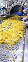 Machine à fabriquer des chips de pommes de terre entièrement automatique 200 kg/h avec options multi-tension et chauffage, haute productivité