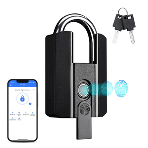 Cadenas intelligent biométrique à combinaison et empreinte digitale avec clé, idéal pour la salle de sport et le rangement - Vente en gros - Product Image 1