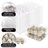 12 trous oeufs de caille plateau d'emballage boîte emballage pour oeufs de caille en plastique blister plateau d'oeufs de caille