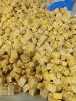 IQF Diepvries Passievruchten met Zaden Groothandel Formaat 10g +/-2g Passievruchten
