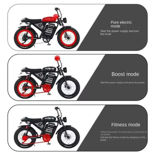 Bicicleta Eléctrica de Montaña en Oferta, Precio Económico, Alto Rendimiento, Bicicleta Eléctrica, E-Bike - Product Image 5