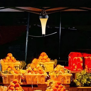 พัดลมไล่แมลงพร้อมไฟสำหรับใช้งานกลางแจ้ง ชาร์จซ้ำได้ ใช้ตั้งโต๊ะ ไล่แมลง ป้องกันแมลงวัน เหมาะสำหรับตั้งแคมป์ ปิกนิก โคมไฟตั้งโต๊ะแบบหมุนได้ - Product Image 3