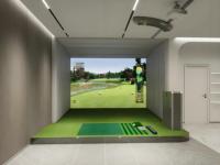 Intérieur 3D mettre tapis golf frappant simulateur swing tee formation frapper pratique pratique tapis frapper herbe