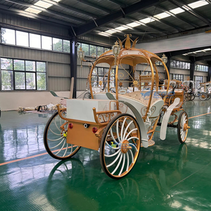 Carritos de Caballos de Lujo de Último Diseño, de Cuatro Ruedas, Mini, Exóticos, Tipo Princesa, Populares, para Transporte al Aire Libre y Turismo - Product Image 6