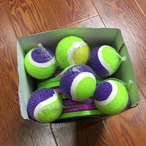 Quăng Và Bắt Bóng Trò Chơi 2 Đĩa Mái Chèo, 1 Quả Bóng-PVC Mang Túi Với Tuyệt Đẹp Bao Bì Bắt Mái Chèo - Product Image 3